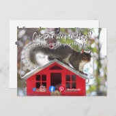 grappig onroerend goed vol met levende eekhoorn briefkaart (Voorkant / Achterkant)