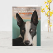 Grappig Oordelen Hond Verjaardag Wenskaart Kaart (Gele Bloem)