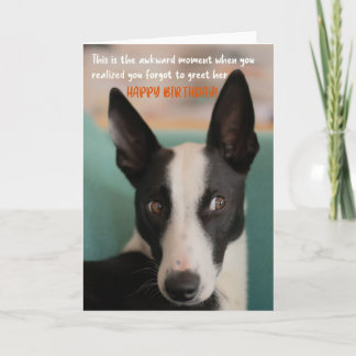 Grappig Oordelen Hond Verjaardag Wenskaart Kaart