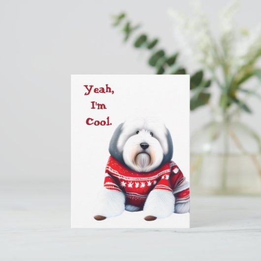 Grappig Oud Engels Sheepdog in Kersttrui Feestdagenkaart (Staand voorkant)