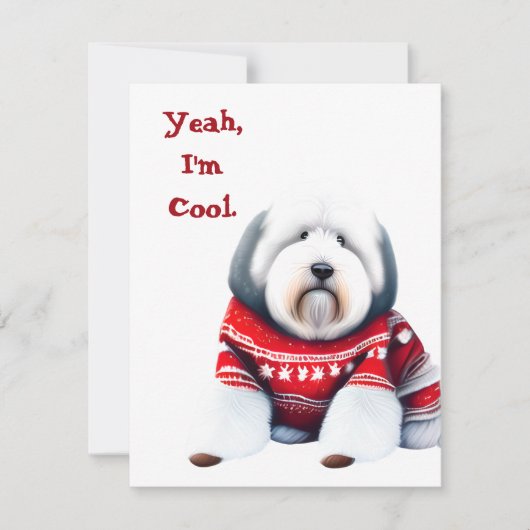 Grappig Oud Engels Sheepdog in Kersttrui Feestdagenkaart (Voorkant)