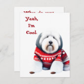 Grappig Oud Engels Sheepdog in Kersttrui Feestdagenkaart (Voorkant / Achterkant)