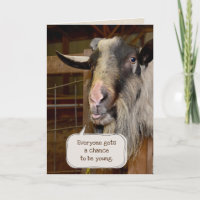 Grappig oud geit voor het krijgen van de oude vade