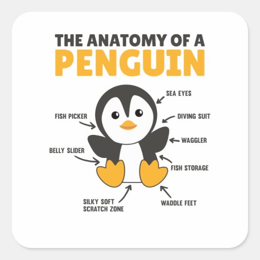 Grappig overzicht van een pinguïn in de anatomie vierkante sticker (Voorkant)