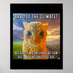 Grappig paar Valentijn Oranje kat meme ben jij de Poster