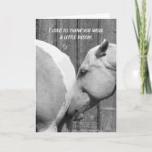 Grappig paard bedankt voor de aanmoediging (Voorkant)