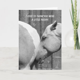 Grappig paard bedankt voor de aanmoediging