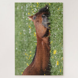 Grappig Paard glimlachend in het grasveld Legpuzzel
