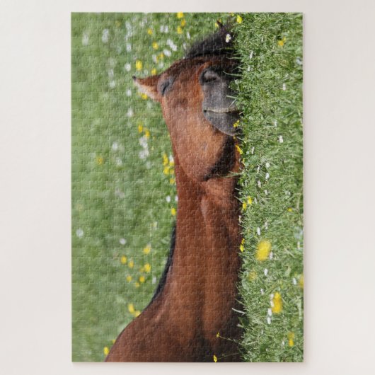 Grappig Paard glimlachend in het grasveld Legpuzzel (Verticaal)