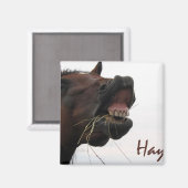 Grappig paard: Hay! Magneet (Voorkant / Achterkant)