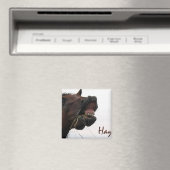 Grappig paard: Hay! Magneet (Insitu (Vaatwasser))