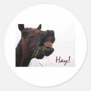 Grappig paard: Hay! Ronde Sticker