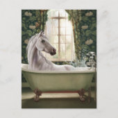 Grappig paard in bad briefkaart (Voorkant)