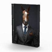 Grappig paard in het pak fotoblokken (Rechts)
