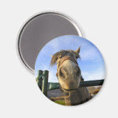 Grappig Paard Magneet (Voorkant / Achterkant)