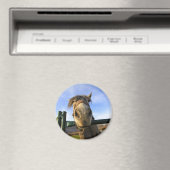 Grappig Paard Magneet (Insitu (Vaatwasser))