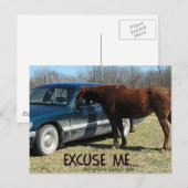 Grappig paard met auto Pardon Briefkaart (Voorkant / Achterkant)