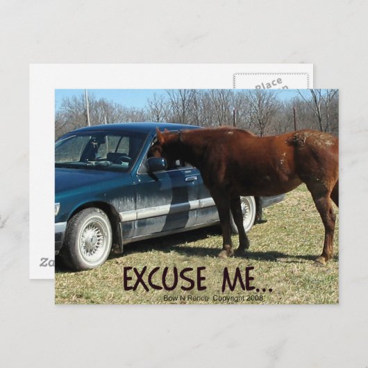 Grappig paard met auto Pardon Briefkaart (Voorkant / Achterkant)