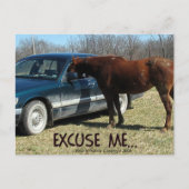 Grappig paard met auto Pardon Briefkaart (Voorkant)