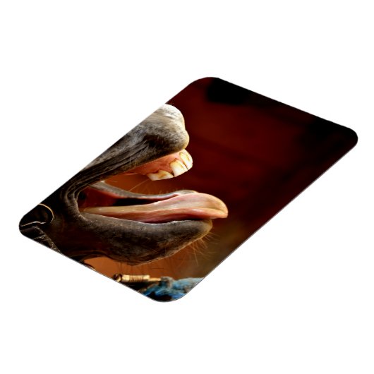 Grappig paard met open mond, tong uitgestoken magneet (Linkerzijde)