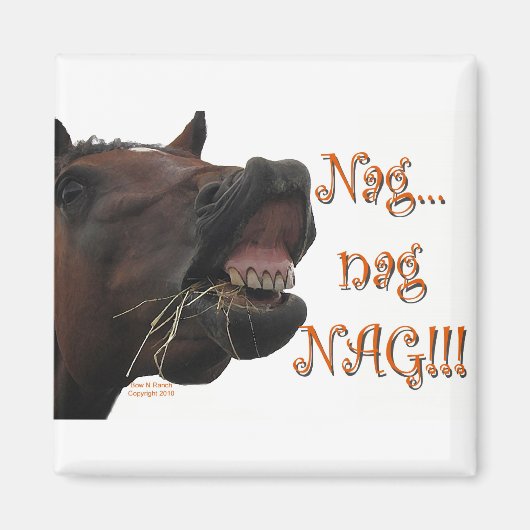 Grappig Paard: Nag, nag, nag Magneet (Voorkant)