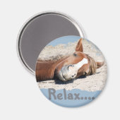 Grappig paard: Relax Magneet (Voorkant / Achterkant)