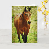 Grappig paard, verjaardag kaart (Gele Bloem)