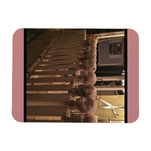 Grappig papier Mache Magneet (Horizontaal)