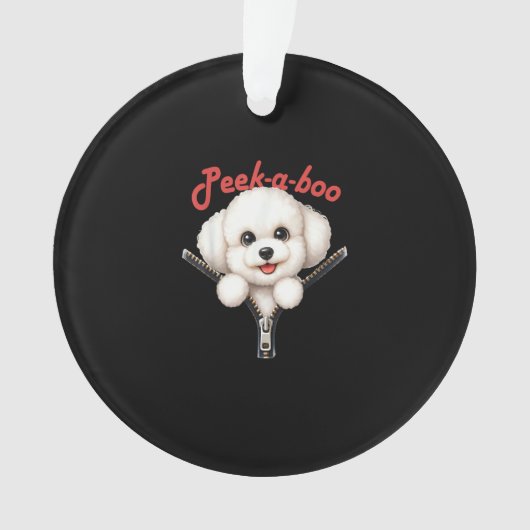 Grappig - Peekaboo Halloween Ornament (voorkant)