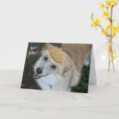 Grappig pensioen, hond in bril en Gevist Pet Kaart (Gele Bloem)