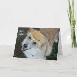 Grappig pensioen, hond in bril en Gevist Pet Kaart