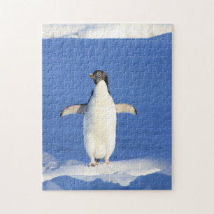 Grappig pinguïn op ijs legpuzzel