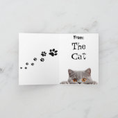 Grappig pluizig kattenverjaardag gevouwen Wenskaar Kaart (Binnen)