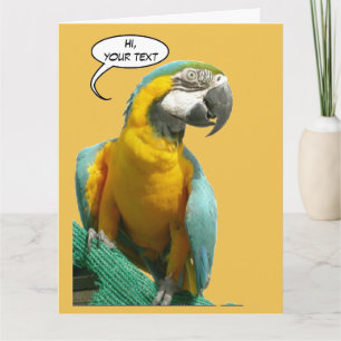 Grappig praten over Parrot Cust. Wenskaart tekst Kaart