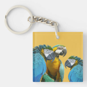 Grappig praten over Parrots Cust. Tekst + Sleutelh Sleutelhanger