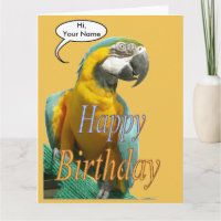 Grappig praten papegaai verjaardag Cust. Wenskaart