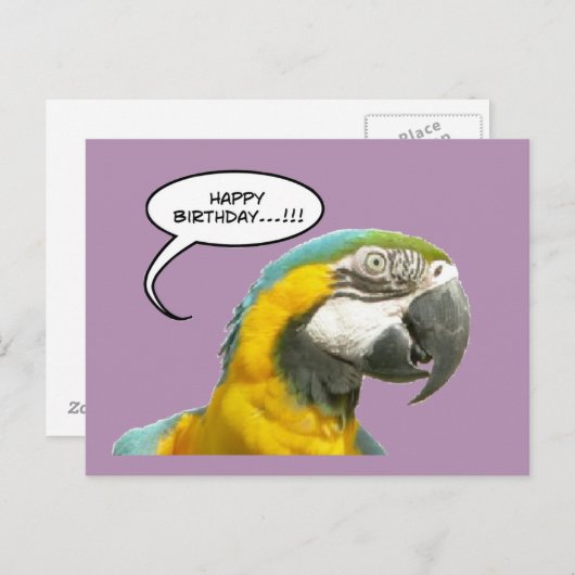 Grappig Praten Parrot Verjaardag Briefkaart (Voorkant / Achterkant)