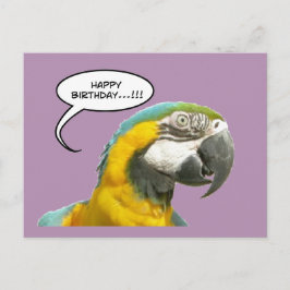 Grappig Praten Parrot Verjaardag Briefkaart