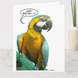 Grappig Pratende Parrot Verjaardag Groot Wenskaart Kaart