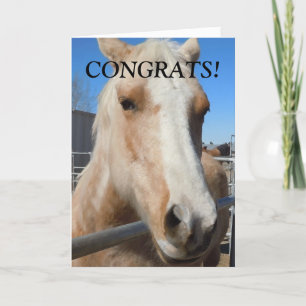 Grappig Professioneel Afstuderen Gefeliciteerd Paa Kaart