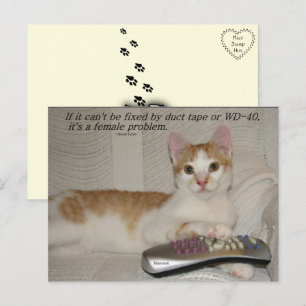 Grappig Quote Cat Briefkaart