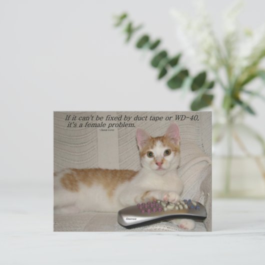 Grappig Quote Cat Briefkaart (Staand voorkant)