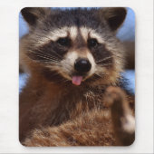 Grappig Raccoon die het uittikt is Tongue Muismat (Voorkant)