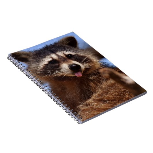 Grappig Raccoon die het uittikt is Tongue Notitieboek (Rechterzijde)