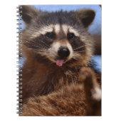 Grappig Raccoon die het uittikt is Tongue Notitieboek (Voorkant)