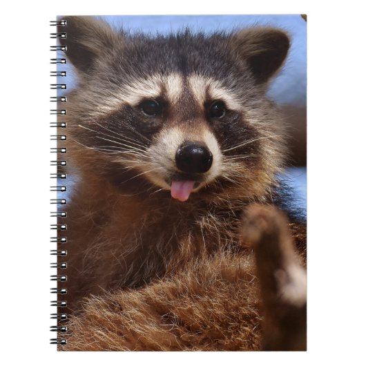 Grappig Raccoon die het uittikt is Tongue Notitieboek (Voorkant)
