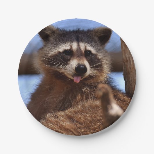Grappig Raccoon die het uittikt is Tongue Papieren Bordje (Voorkant)
