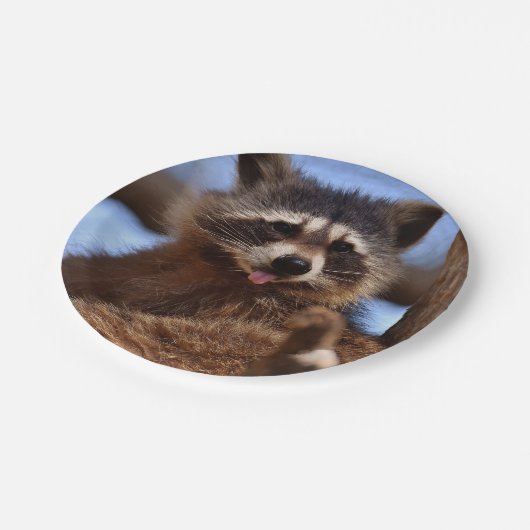 Grappig Raccoon die het uittikt is Tongue Papieren Bordje (Gekanteld)