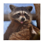 Grappig Raccoon die het uittikt is Tongue Tegeltje (Voorkant)