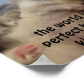 grappig ragdoll kittens poster (Hoek)